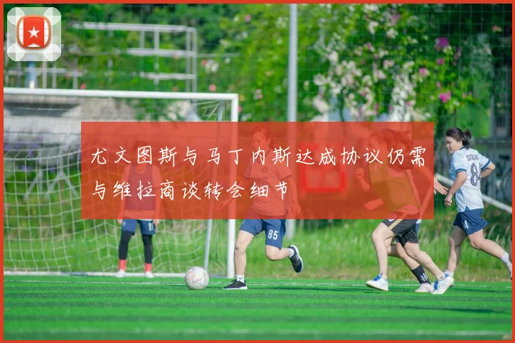 尤文图斯与马丁内斯达成协议仍需与维拉商谈转会细节