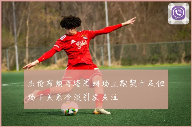 杰伦布朗与塔图姆场上默契十足但场下关系冷淡引发关注